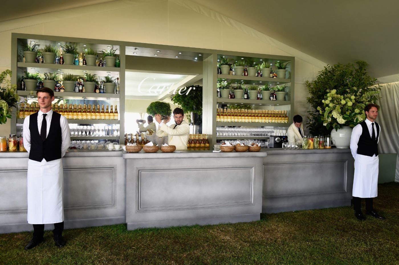 Carpa VIP 1