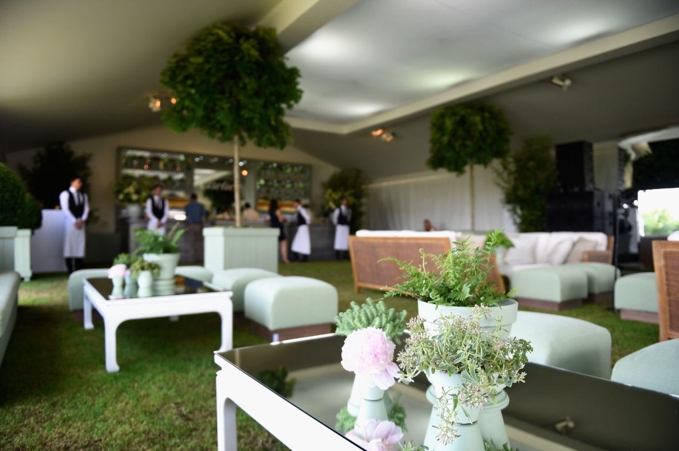 Carpa VIP 2